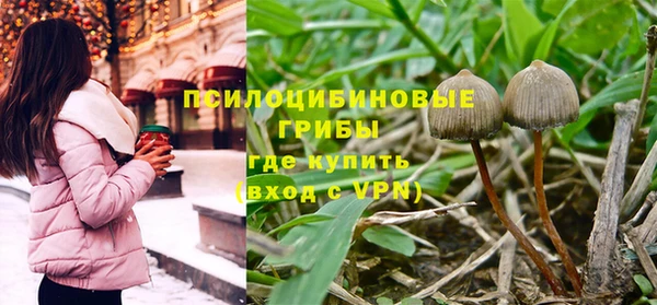 хмурый Волоколамск